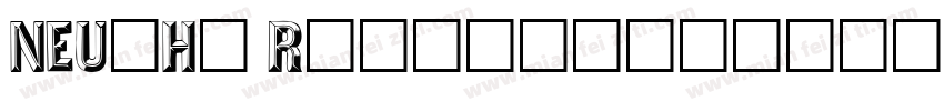 NEU-H1 Regular字体转换